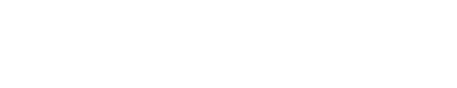 Delion